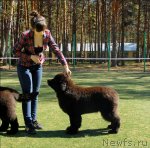 Превью фото № 70607