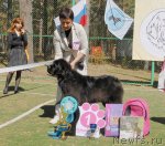 Превью фото № 70623