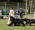 Превью фото № 70625