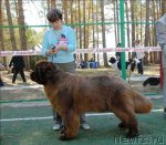 Превью фото № 70642