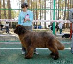 Превью фото № 70643