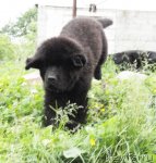 Превью фото № 70791