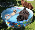 Превью фото № 70947