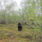 Превью фото № 70949