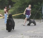 Превью фото № 71011