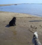 Превью фото № 71070