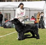 Превью фото № 71362