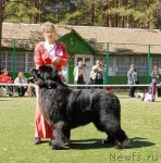 Превью фото № 71363