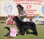 Превью фото № 71428