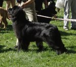 Превью фото № 71493