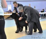 Превью фото № 71717