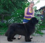 Превью фото № 71954