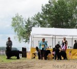 Превью фото № 72367