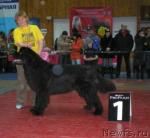 Превью фото № 7253