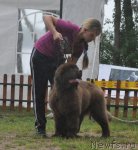 Превью фото № 72573