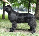 Превью фото № 72585