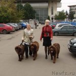 Превью фото № 72592