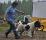 Превью фото № 72607