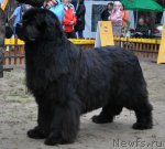 Превью фото № 72623