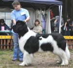 Превью фото № 72637