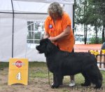 Превью фото № 72665