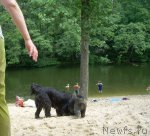 Превью фото № 72792