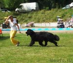 Превью фото № 72958