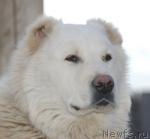 Превью фото № 7316