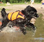 Превью фото № 73197