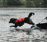 Превью фото № 73219