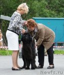 Превью фото № 73377