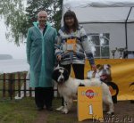 Превью фото № 73416