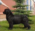 Превью фото № 73493