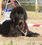 Превью фото № 73751