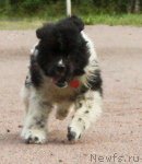 Превью фото № 73922