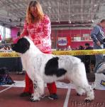 Превью фото № 7404