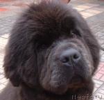 Превью фото № 741