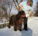 Превью фото № 7427