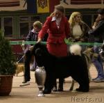 Превью фото № 7453