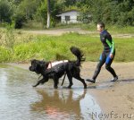 Превью фото № 74602