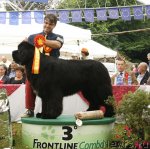 Превью фото № 74838