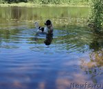 Превью фото № 74839