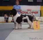 Превью фото № 75239