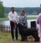 Превью фото № 75352