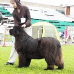 Превью фото № 75455