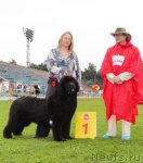 Превью фото № 75476