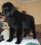 Превью фото № 7552