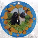 Превью фото № 76034