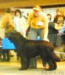 Превью фото № 7607