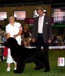 Превью фото № 76154